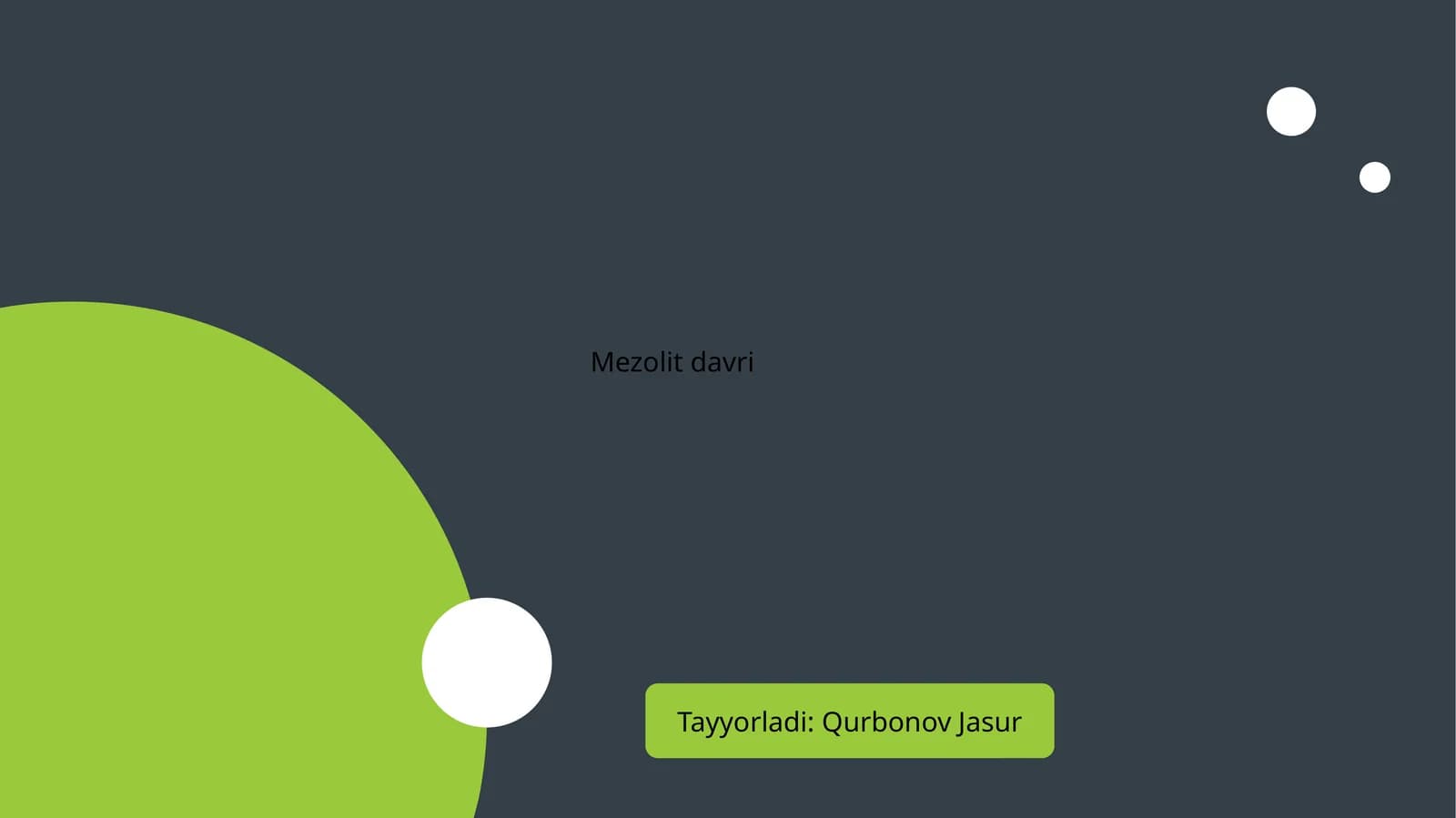 Mezolit davri