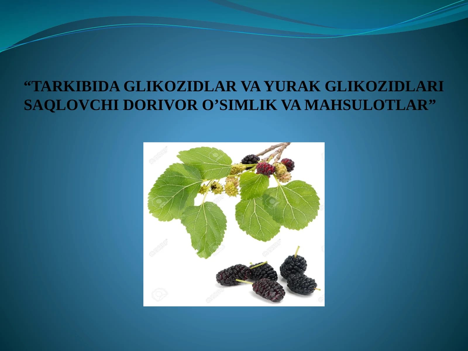 TARKIBIDA GLIKOZIDLAR VA YURAK GLIKOZIDLARI SAQLOVCHI DORIVOR O’SIMLIK VA MAHSULOTLAR