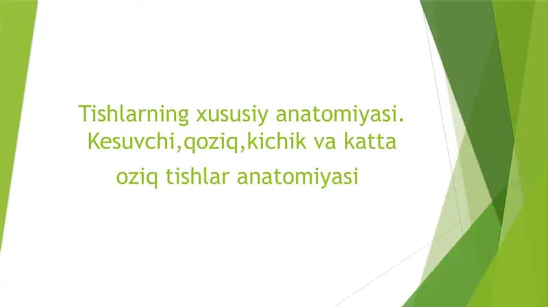 Tishlarning xususiy anatomiyasi
