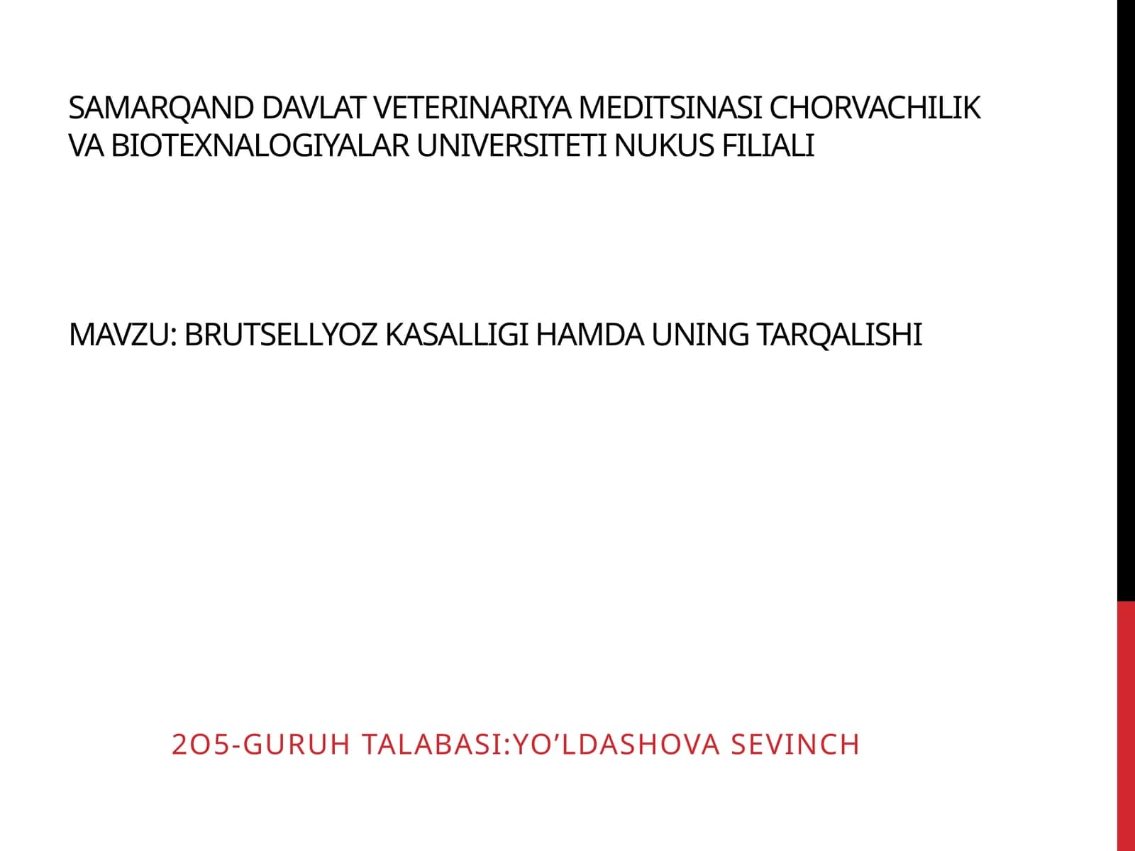 Brutsellyoz