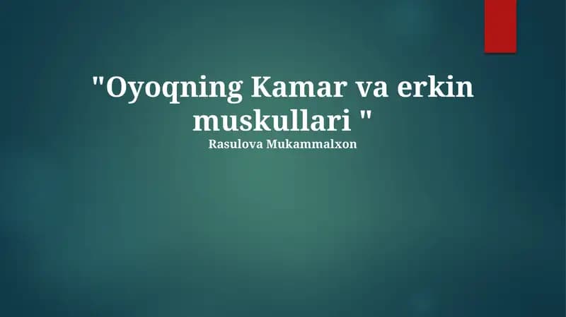 Oyoqning Kamar va erkin muskullari