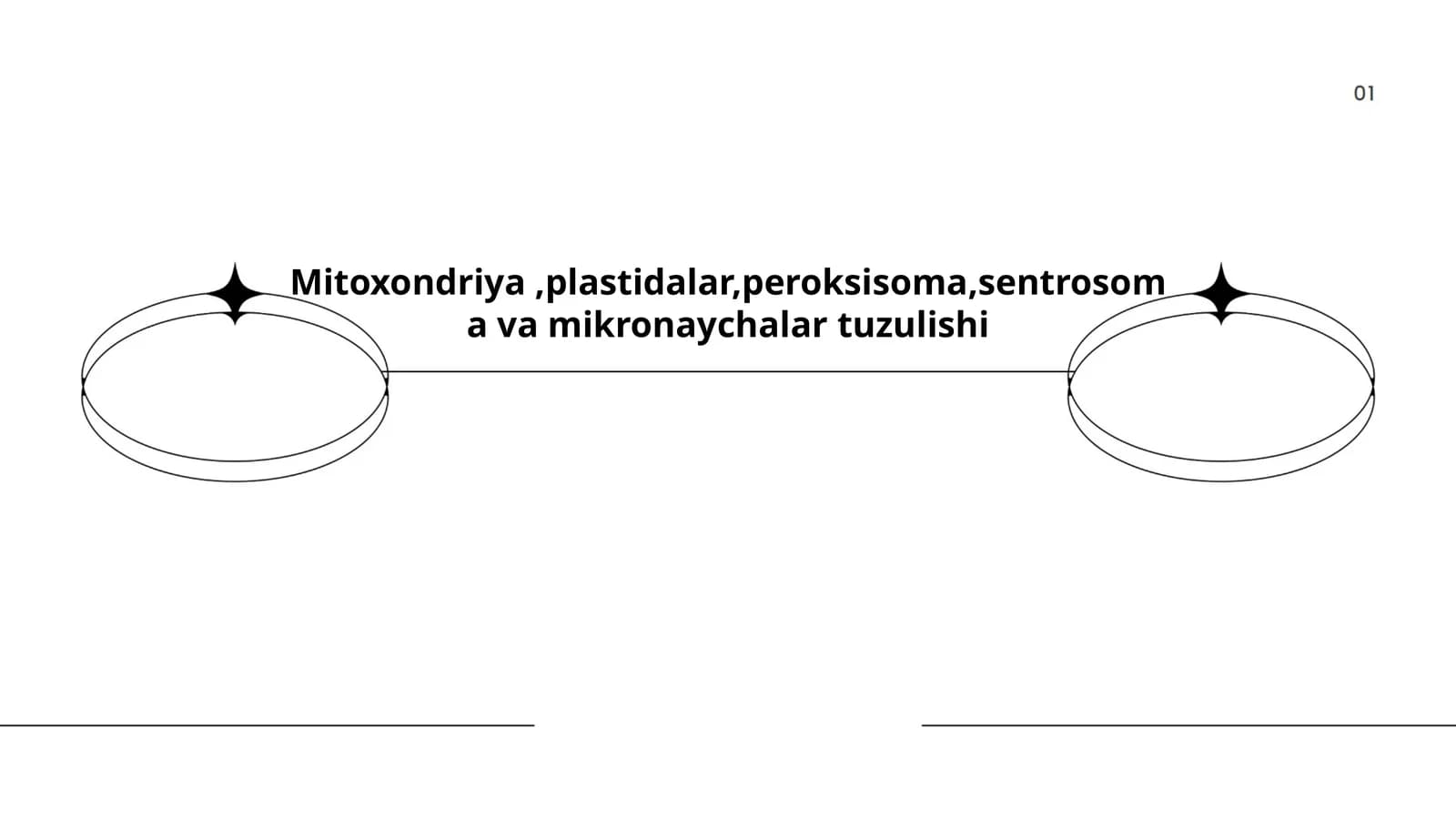 Mitoxondriyaning tuzilishi va funktsiyalari
