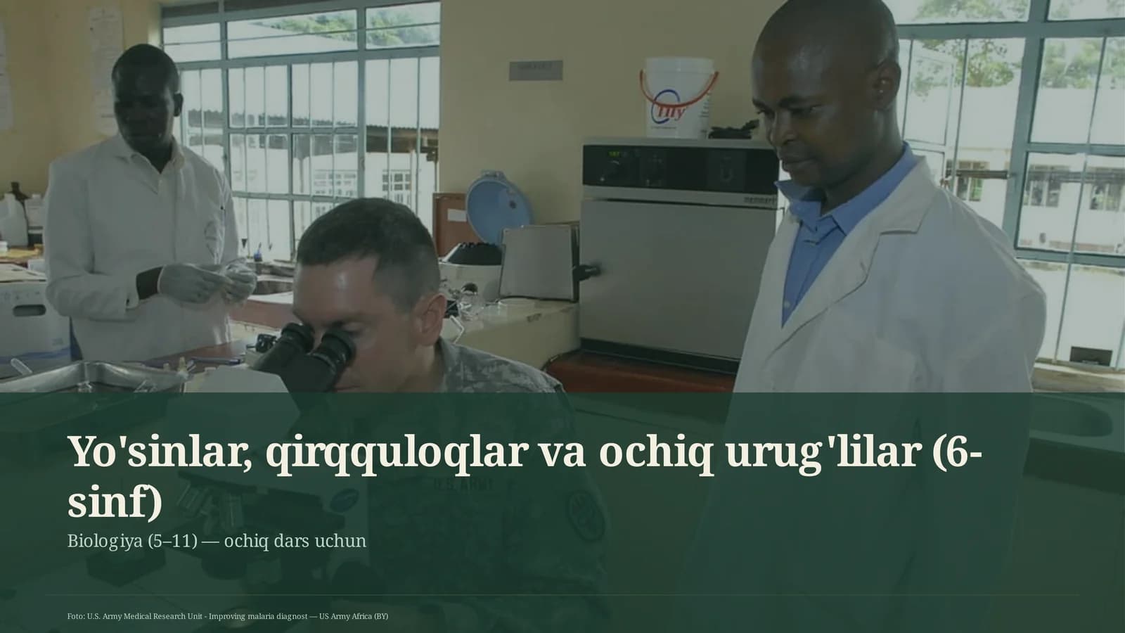 Yo'sinlar, qirqquloqlar va ochiq urug'lilar (6-sinf)