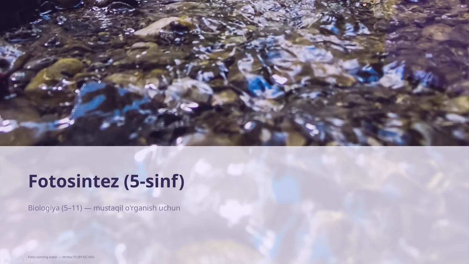 Fotosintez (5-sinf)