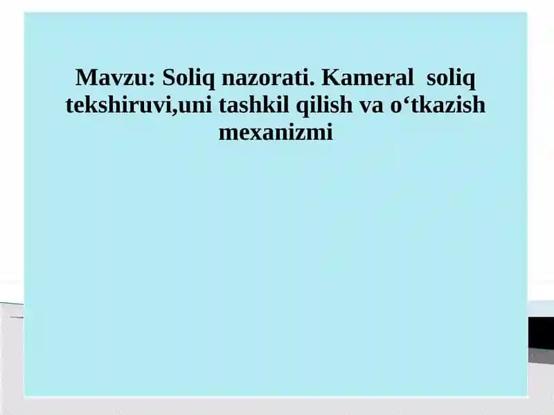 Soliq nazorati