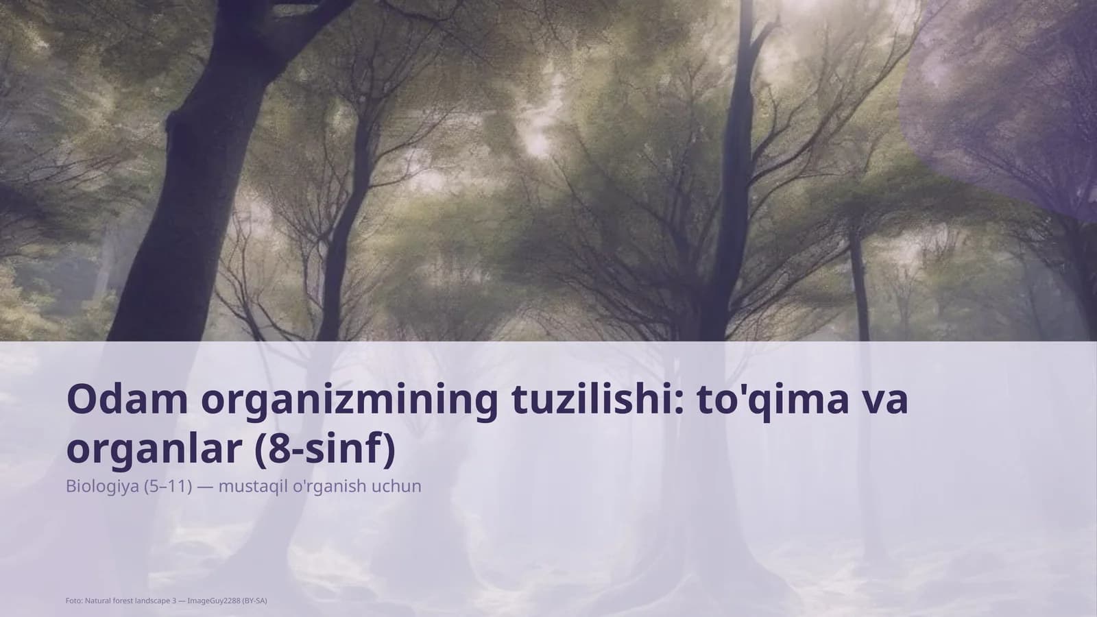 Odam organizmining tuzilishi: to'qima va organlar (8-sinf)