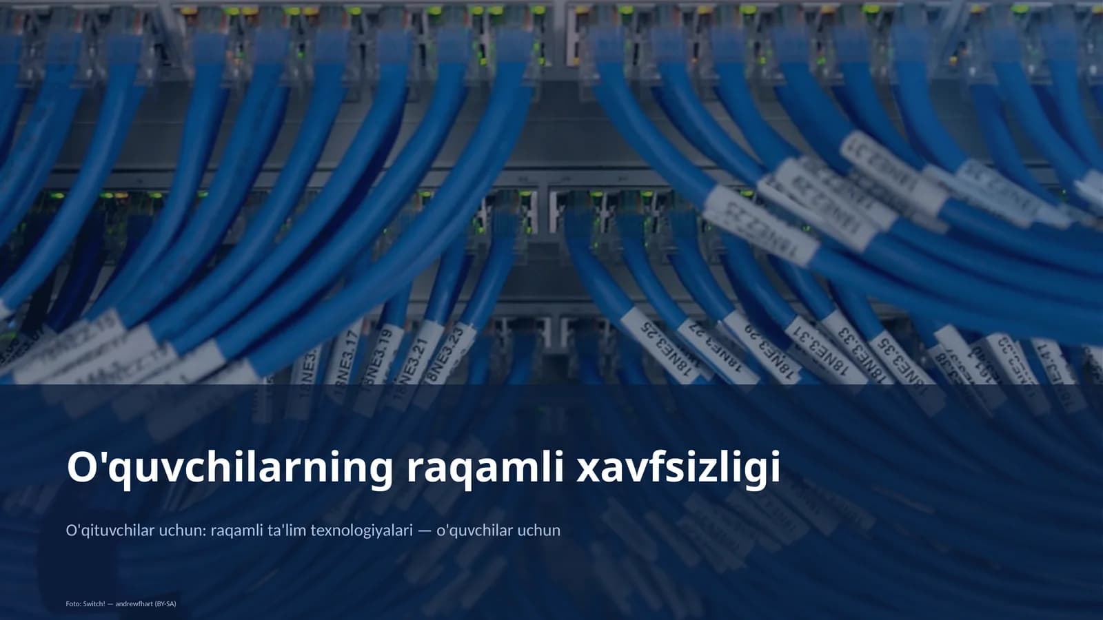 O'quvchilarning raqamli xavfsizligi