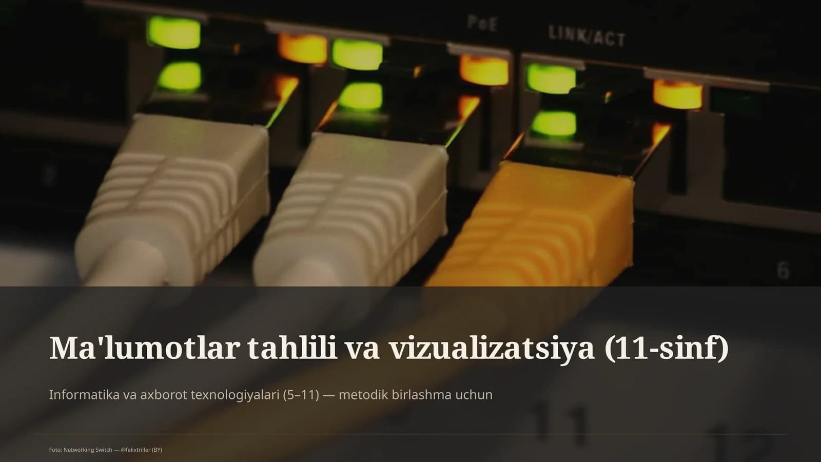 Ma'lumotlar tahlili va vizualizatsiya (11-sinf)