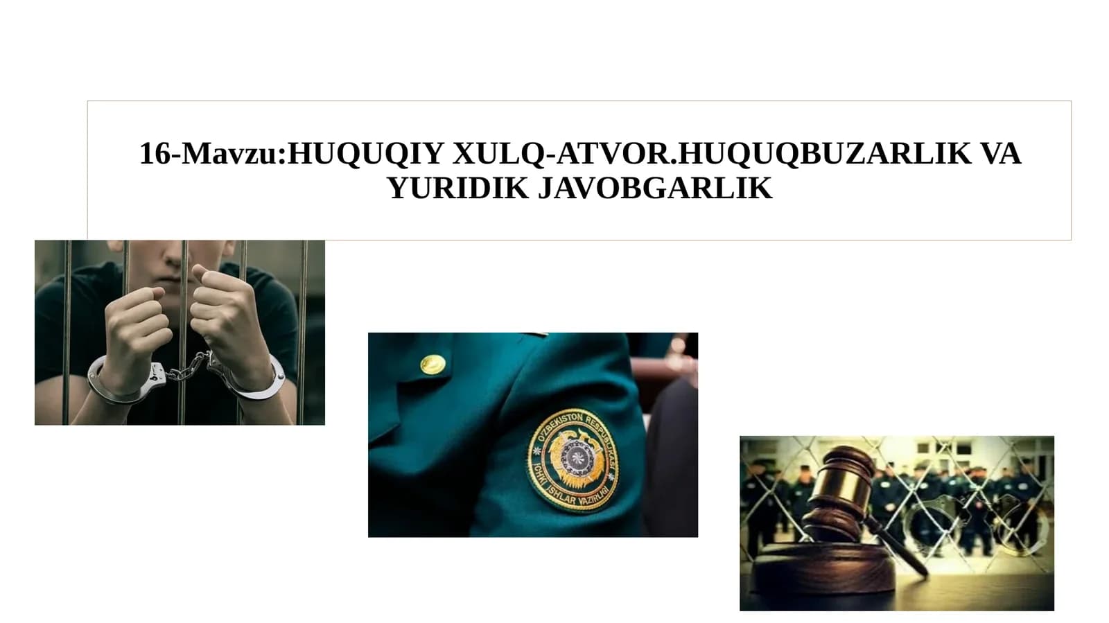 Davlat va huquq nazariyasi fanidan 16-mavzu uchun taqdimot