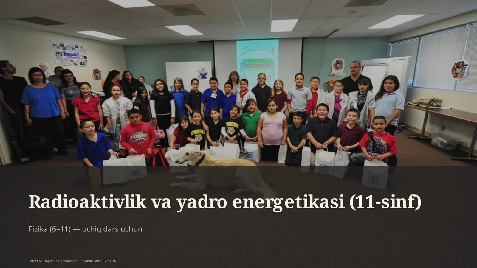 Radioaktivlik va yadro energetikasi (11-sinf)