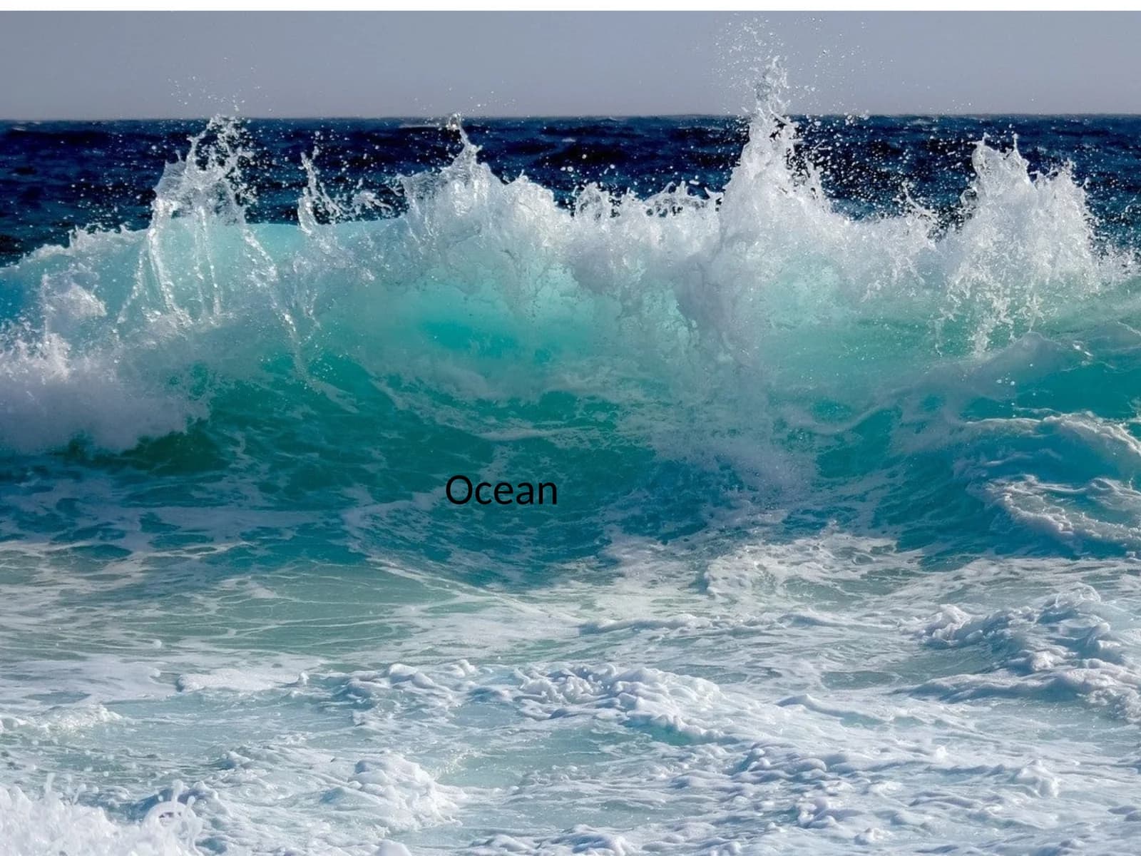 Ocean
