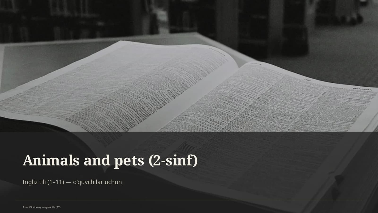 Animals and pets (2-sinf)