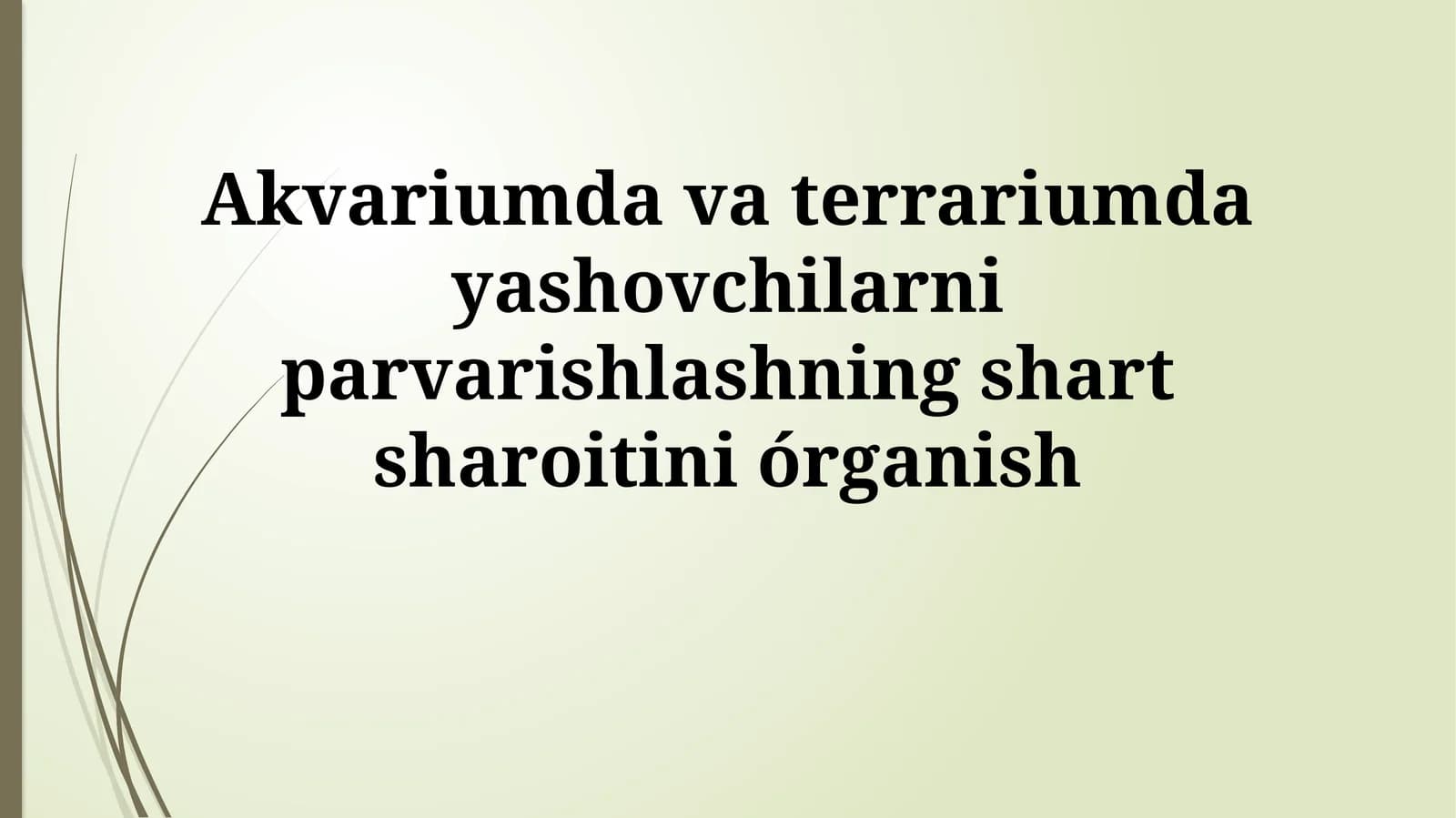 Akvariumda va terrariumda yashovchilarni parvarishlashning shartsharoitiniórganish