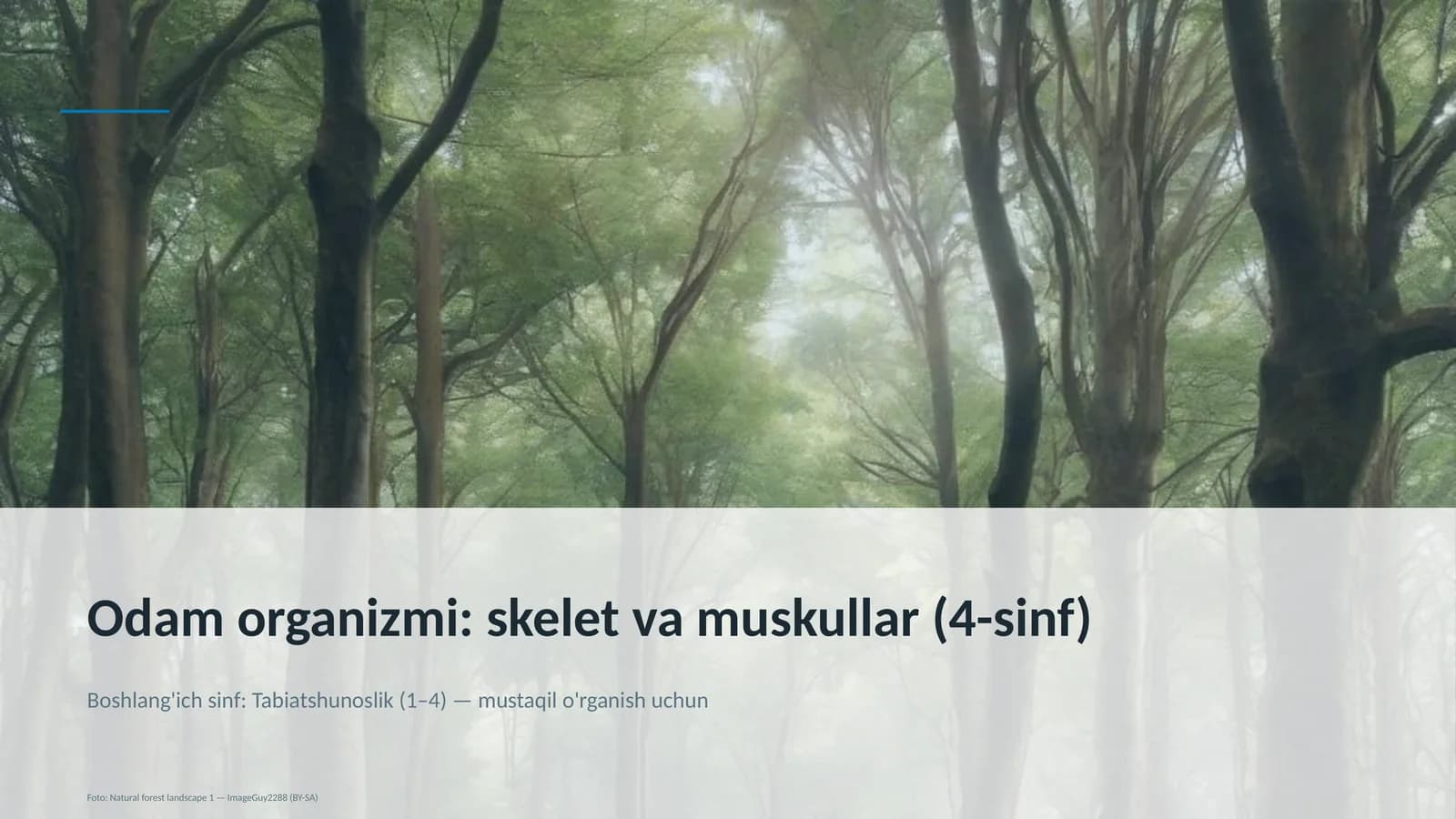 Odam organizmi: skelet va muskullar (4-sinf)