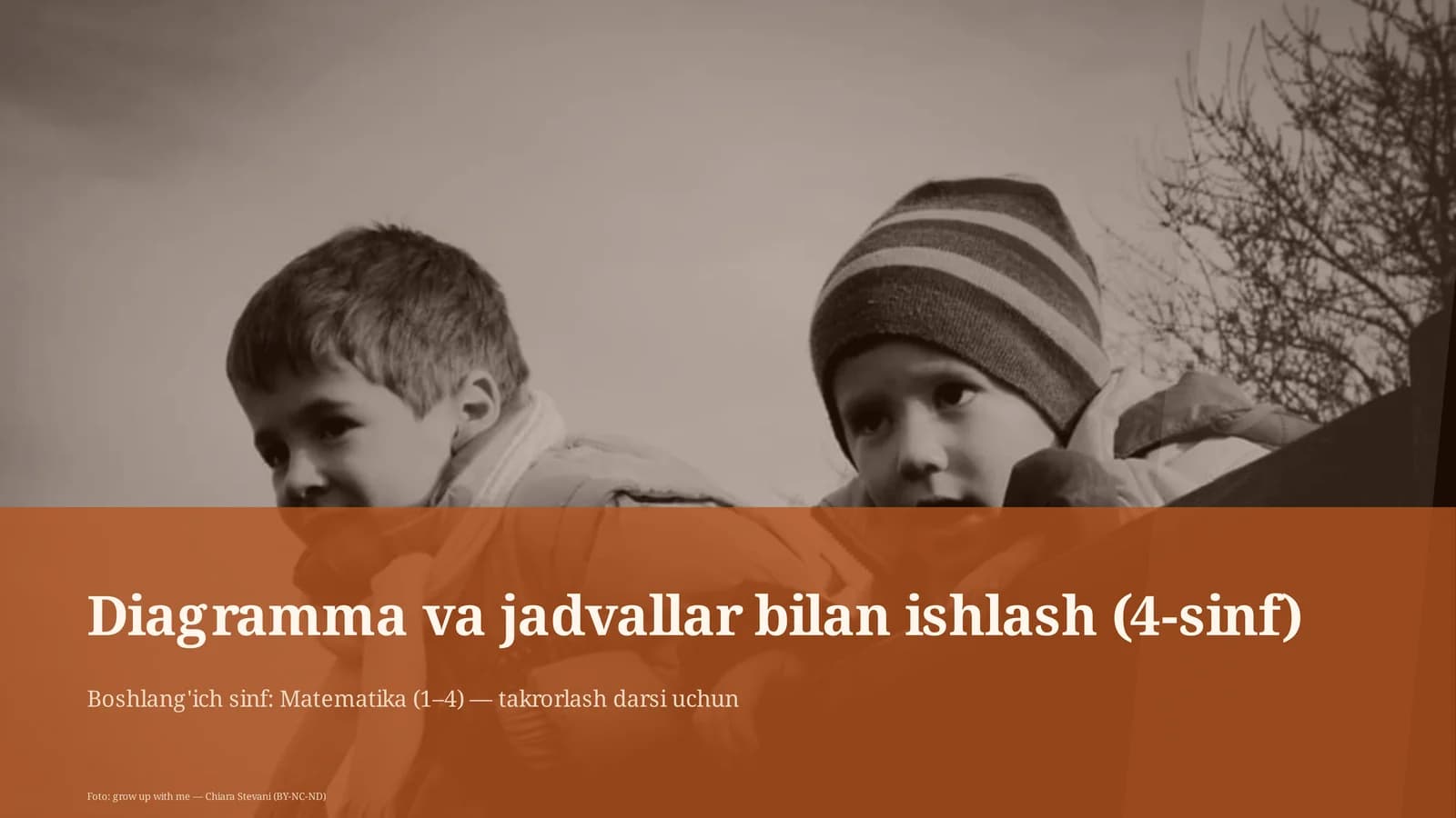 Diagramma va jadvallar bilan ishlash (4-sinf)