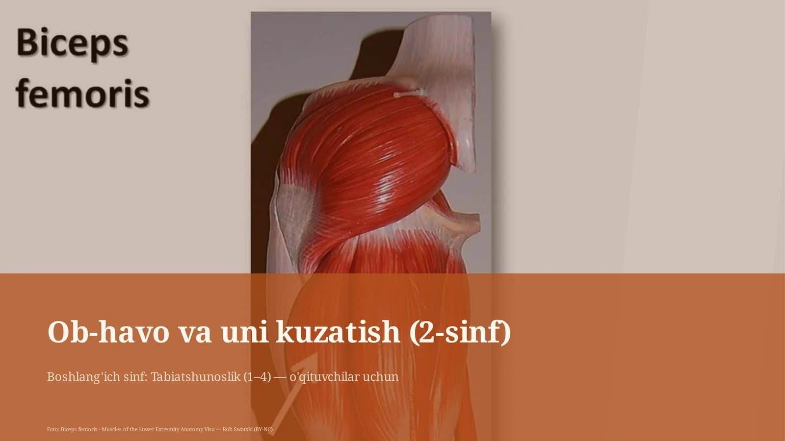 Ob-havo va uni kuzatish (2-sinf)