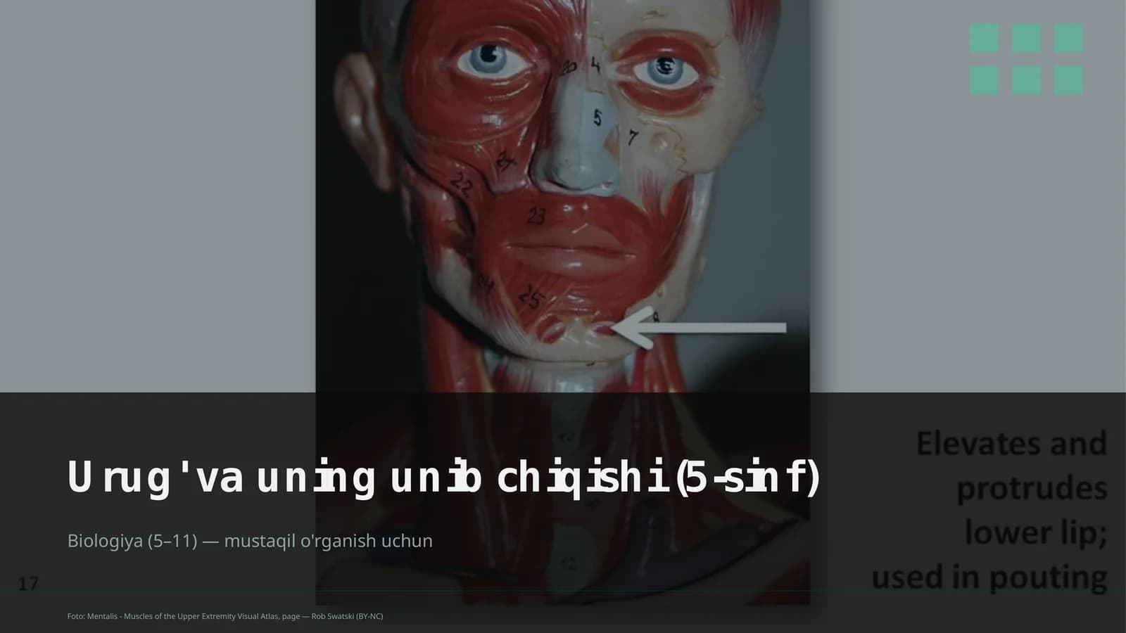 Urug' va uning unib chiqishi (5-sinf)