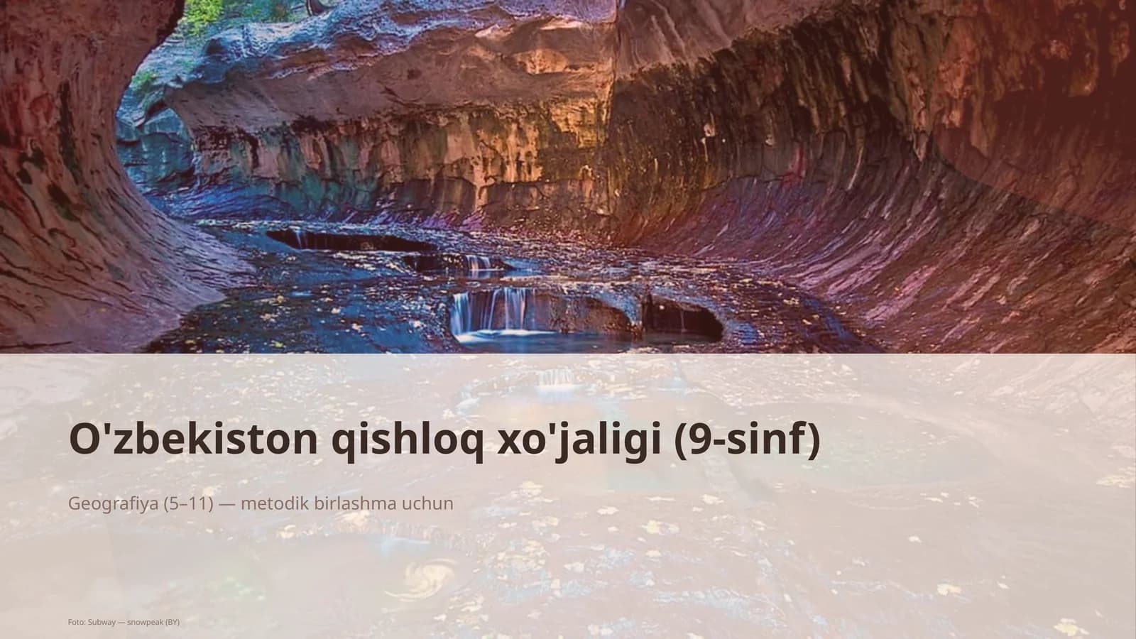 O'zbekiston qishloq xo'jaligi (9-sinf)