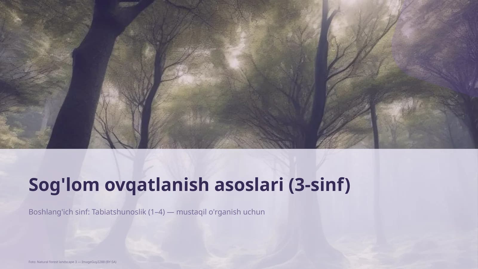 Sog'lom ovqatlanish asoslari (3-sinf)