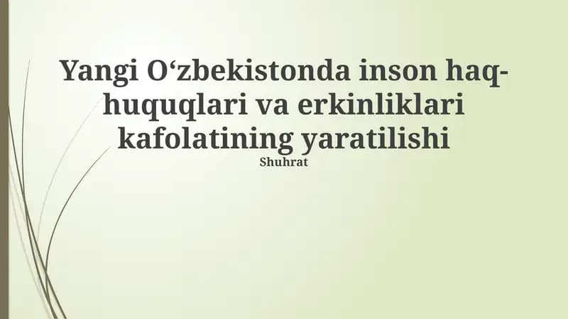 Yangi O‘zbekistonda inson haq-huquqlari va erkinliklari kafolatining yaratilishi