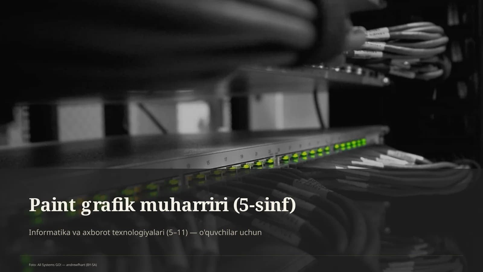 Paint grafik muharriri (5-sinf)