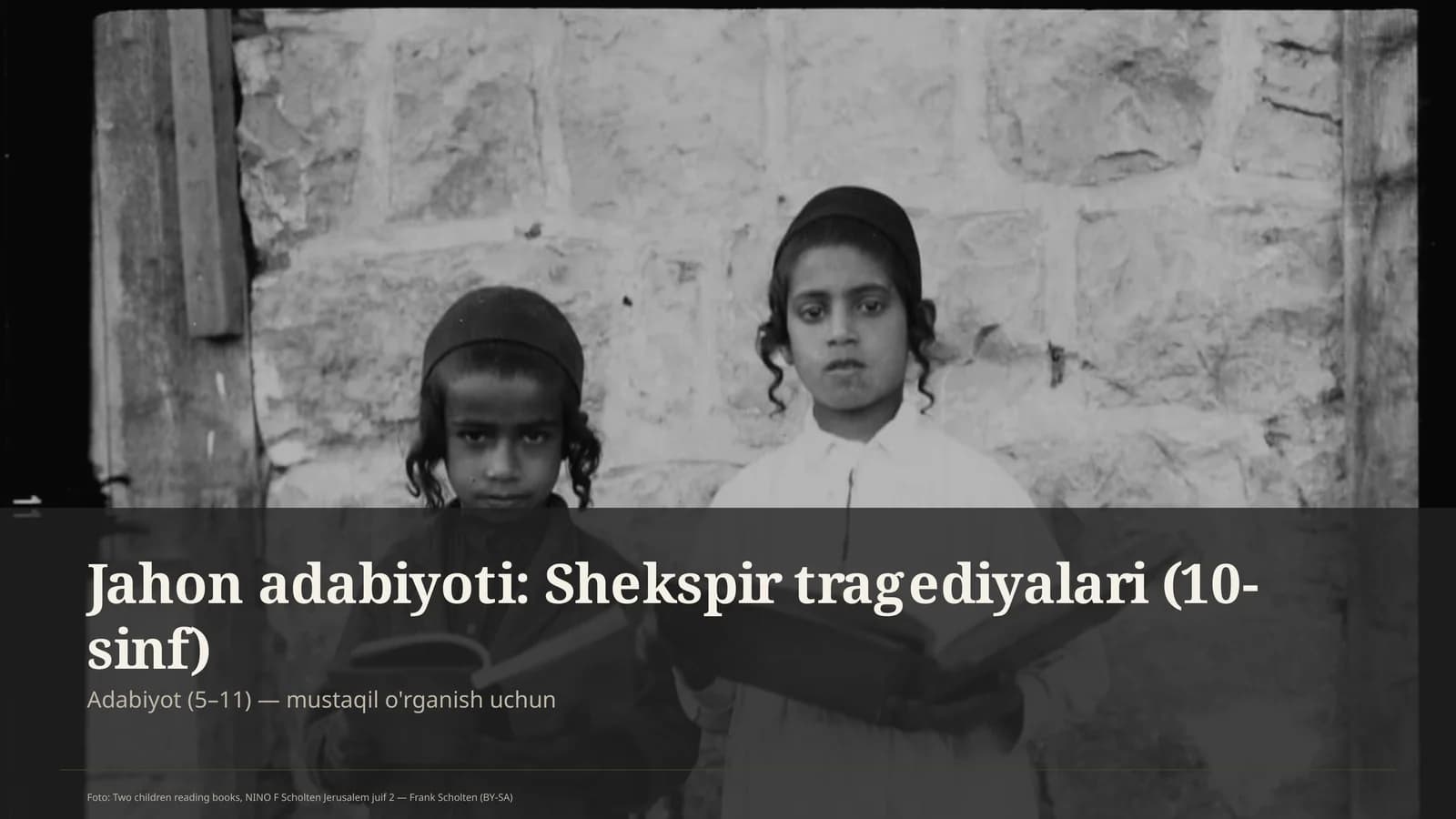 Jahon adabiyoti: Shekspir tragediyalari (10-sinf)