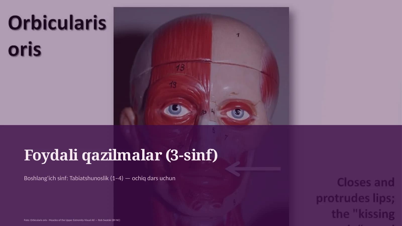 Foydali qazilmalar (3-sinf)