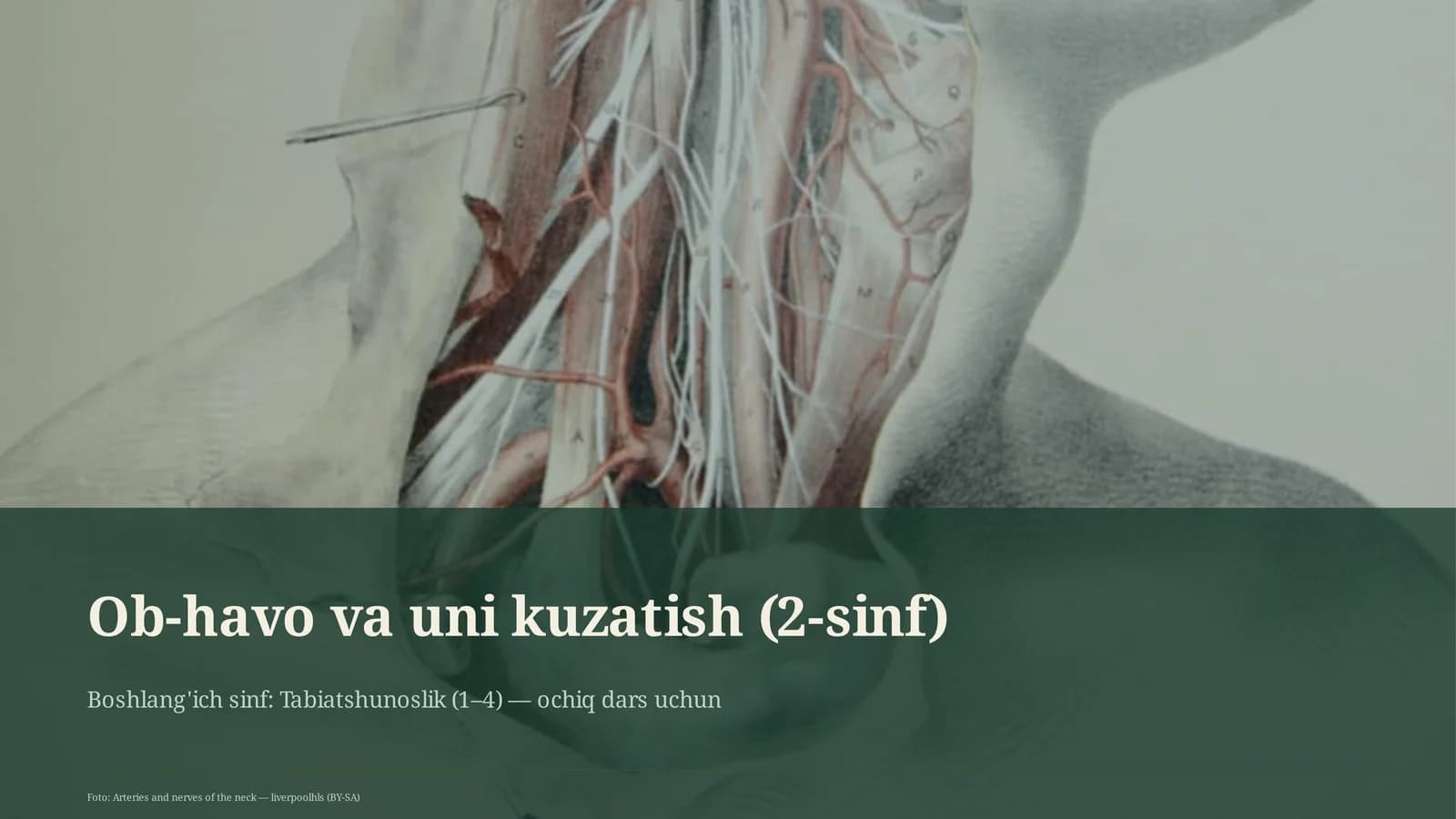 Ob-havo va uni kuzatish (2-sinf)