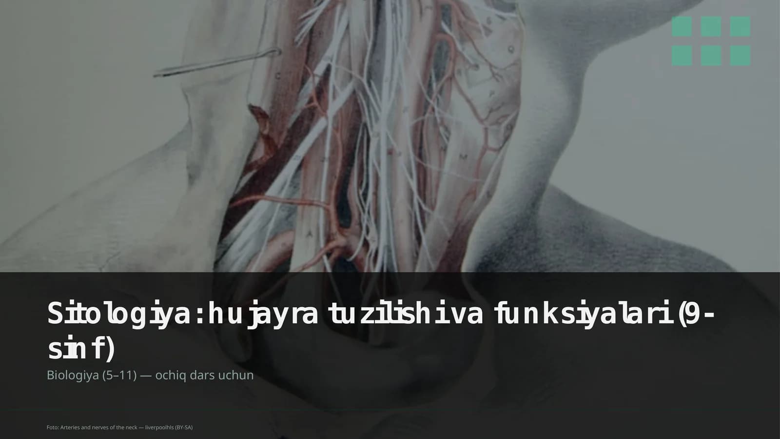Sitologiya: hujayra tuzilishi va funksiyalari (9-sinf)