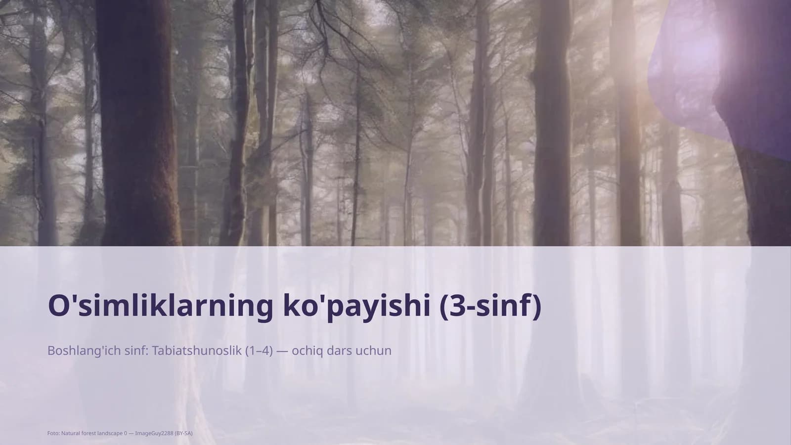 O'simliklarning ko'payishi (3-sinf)