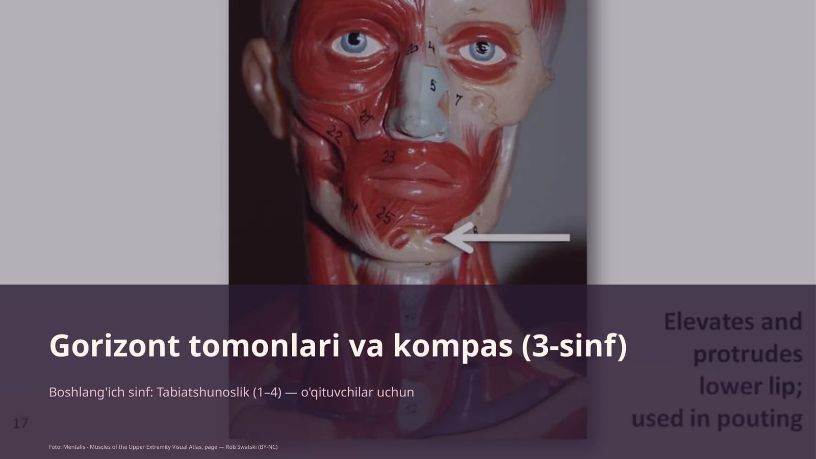Gorizont tomonlari va kompas (3-sinf)