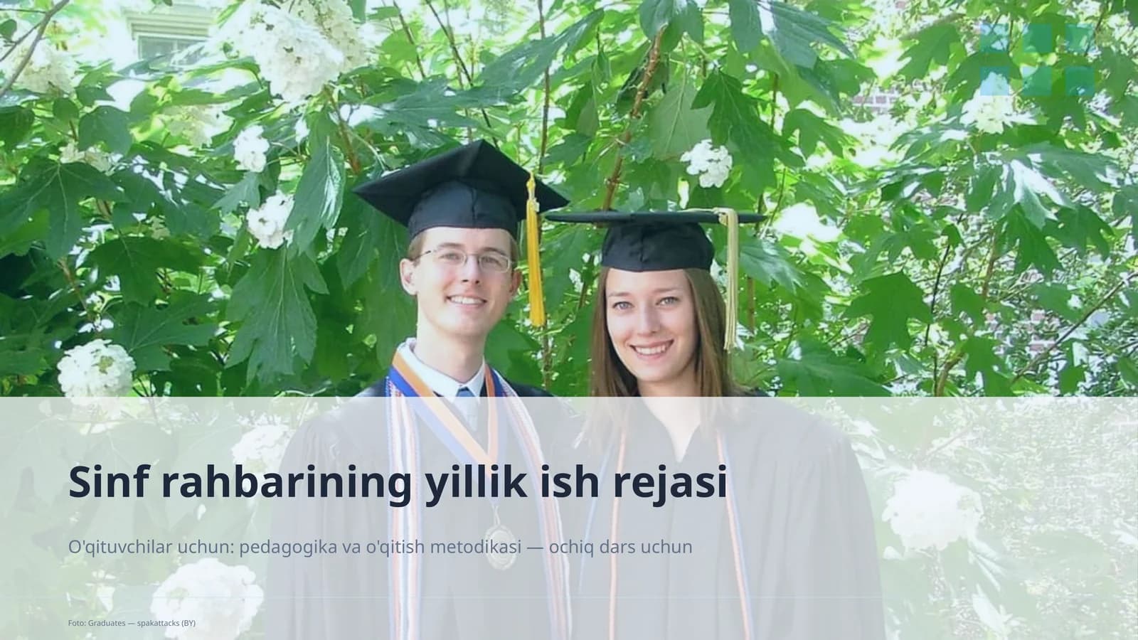 Sinf rahbarining yillik ish rejasi