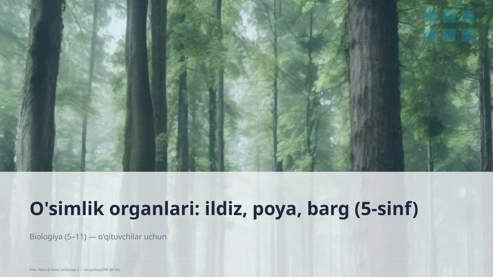 O'simlik organlari (5-sinf) Biologiya (5–