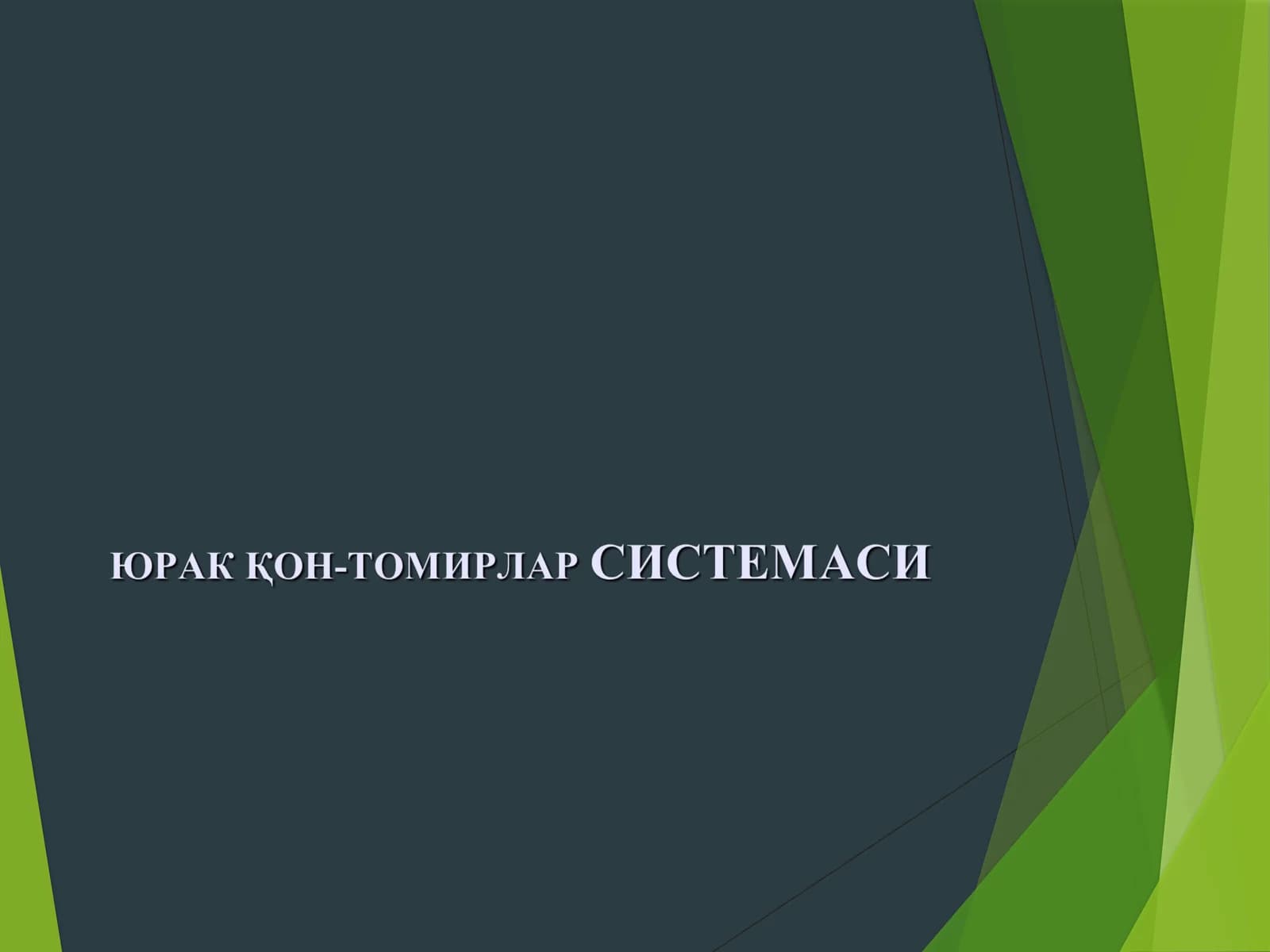 ЮРАК ҚОН-ТОМИРЛАР СИСТЕМАСИ