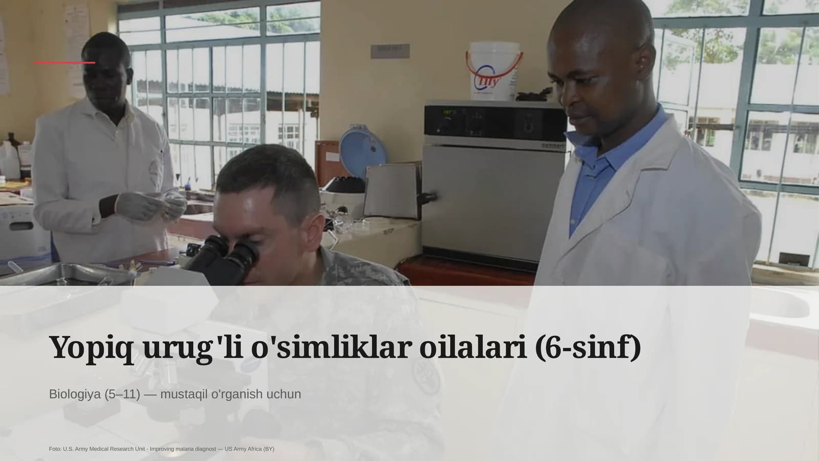 Yopiq urug'li o'simliklar oilalari (6-sinf)