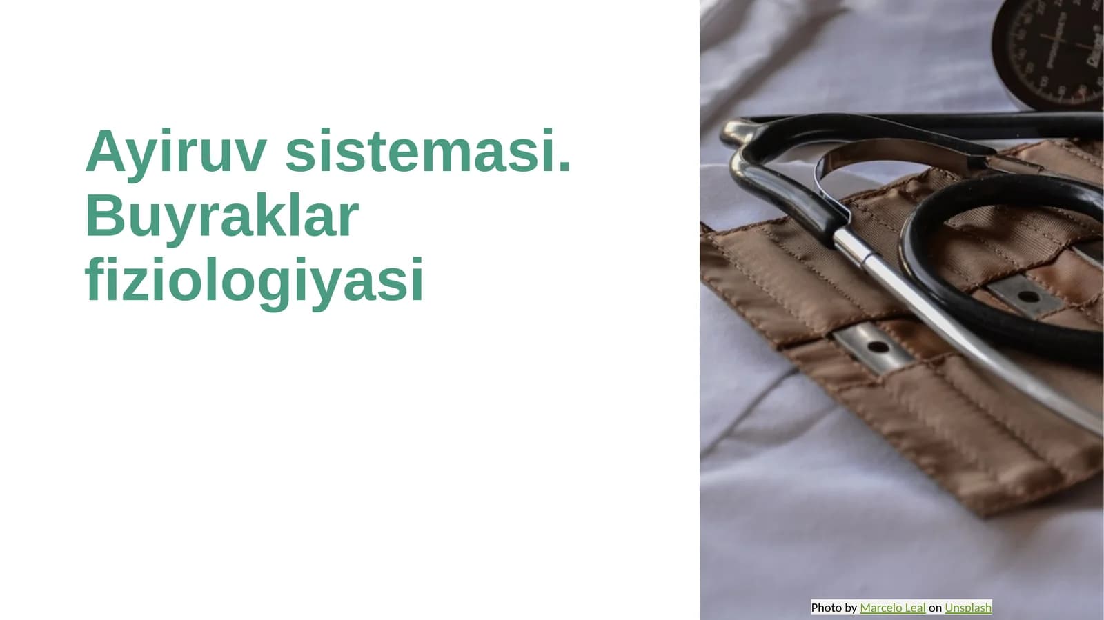 Ayiruv sistemasi. Buyraklar fiziologiyasi