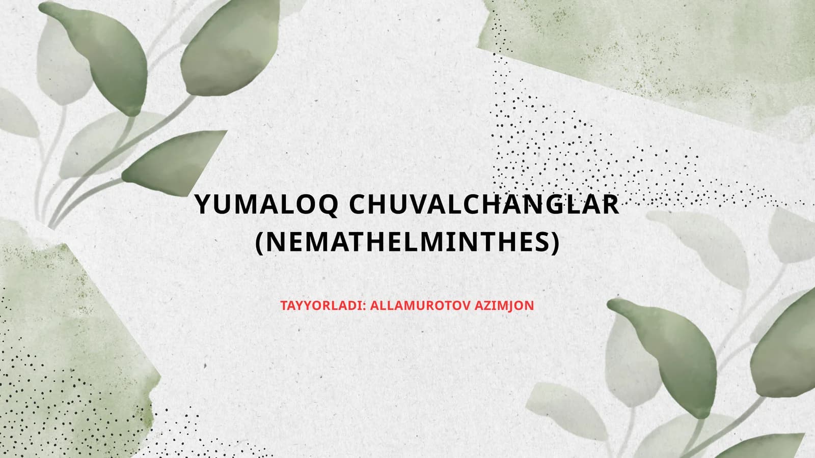 Yassi chuvalchanglar – odam parazitlari - so‘rg‘ichlilar jigar qurti, mushuk so‘rg‘ichi, lansetsimon so‘rg‘ich, o‘pka so‘rg‘ichi, shistosomalar (qon qurtlari).