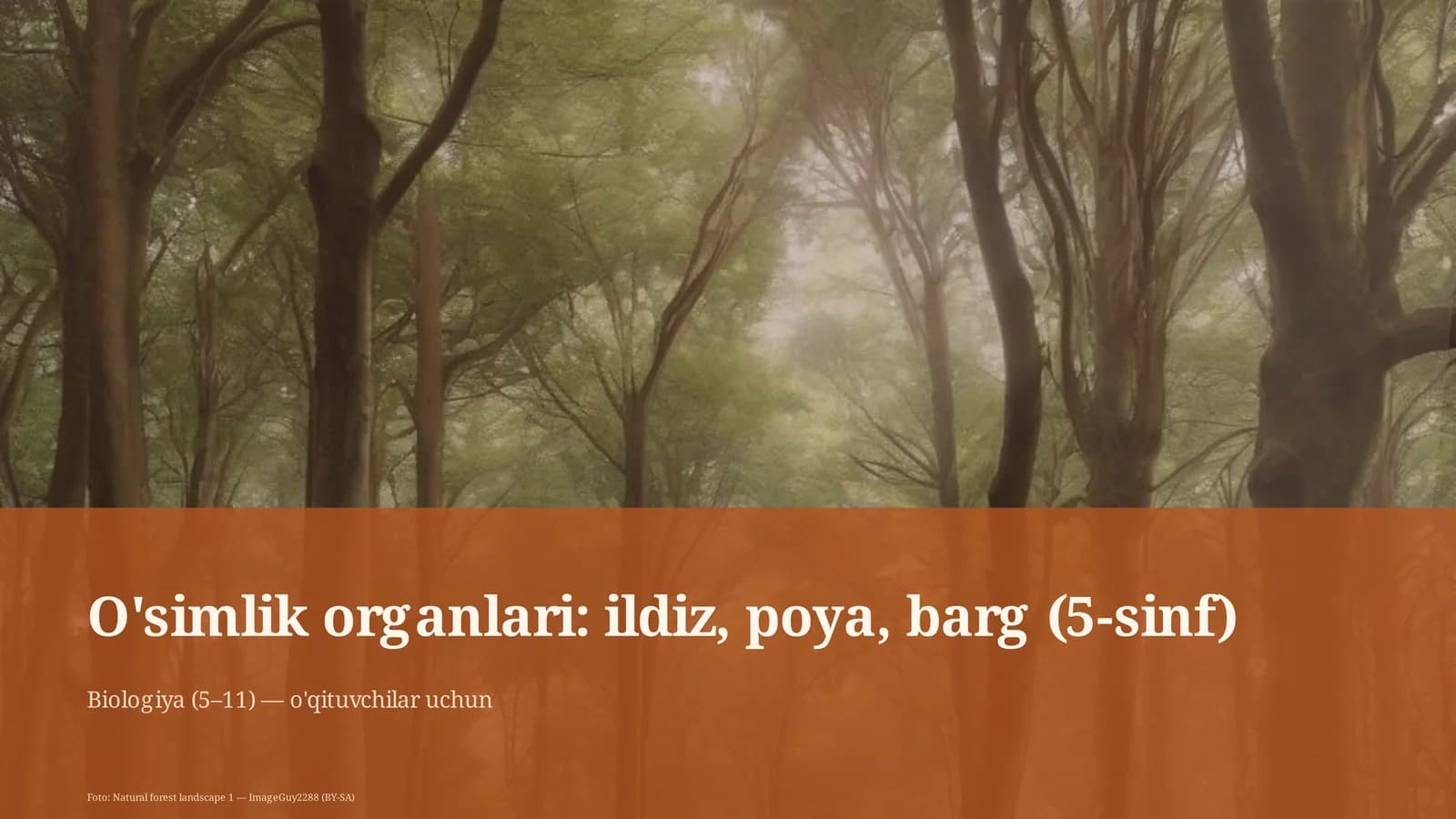 O'simlik organlari: ildiz, poya, barg (5-sinf)