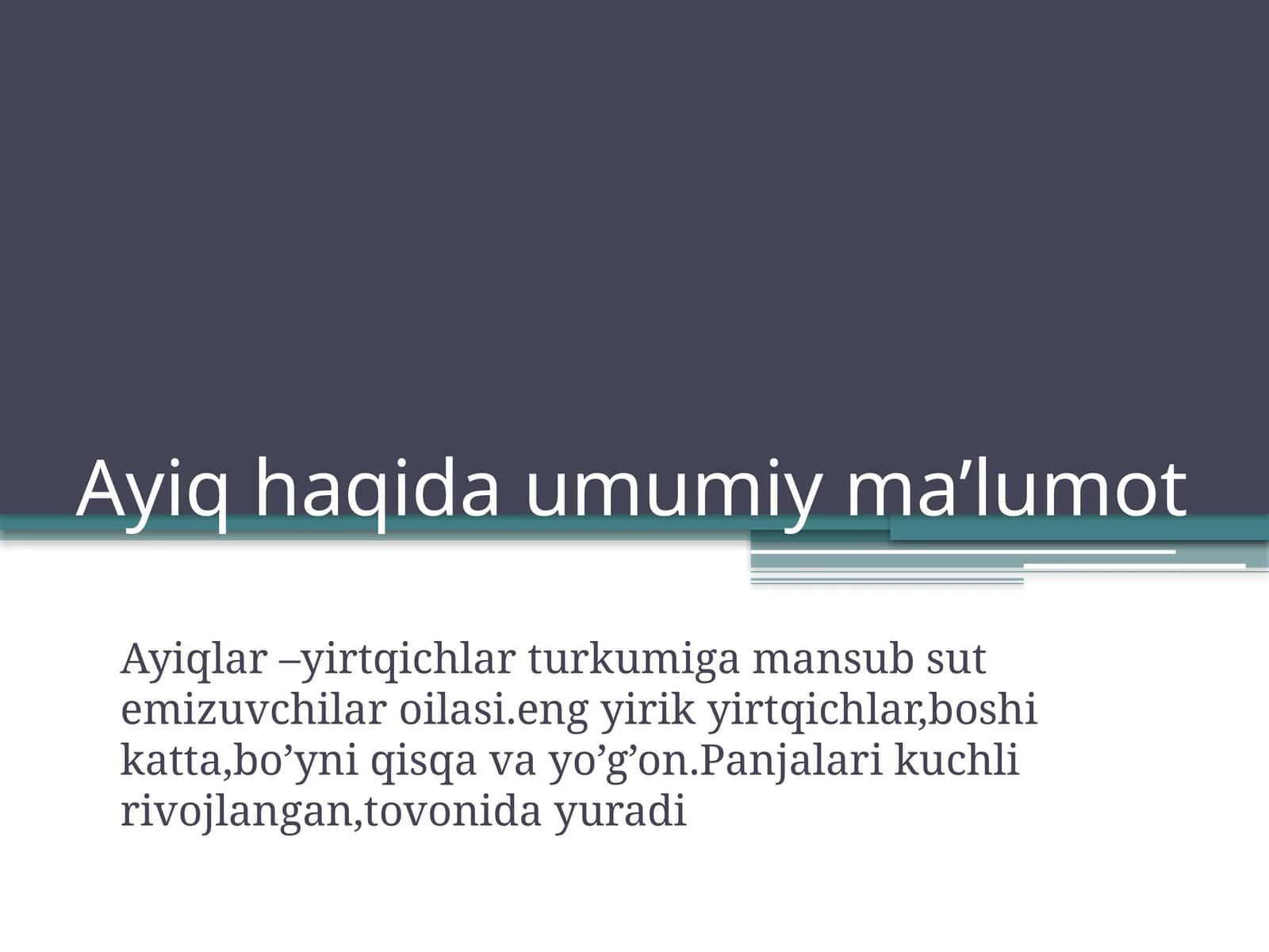 Ayiq haqida umumiy ma’lumot
