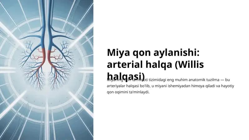 Willis halqasi
