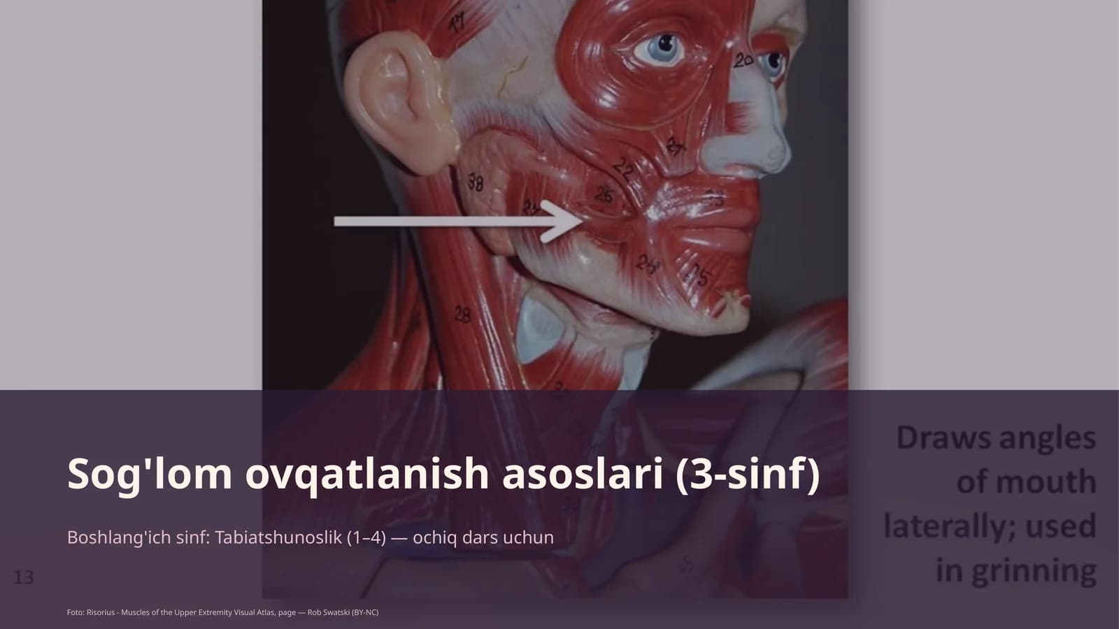 Sog'lom ovqatlanish asoslari (3-sinf)