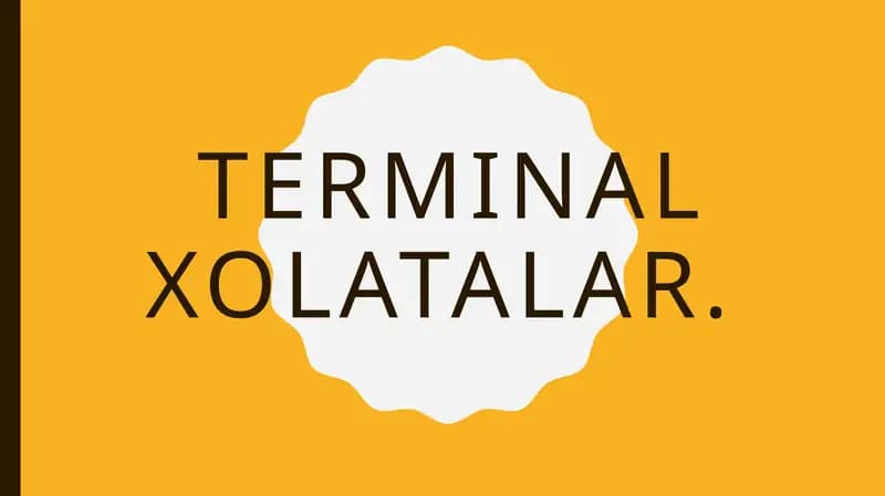 Terminal holatalar