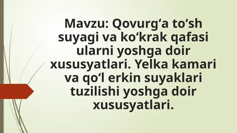 Qovurgʻa toʻsh suyagi va koʻkrak qafasi ularni yoshga doir xususyatlari. Yelka kamari va qoʻl erkin suyaklari tuzilishi yoshga doir xususyatlari.Yelkakamarivaqoʻlerkinsuyaklarituzilishiyoshgadoirxususyatlari