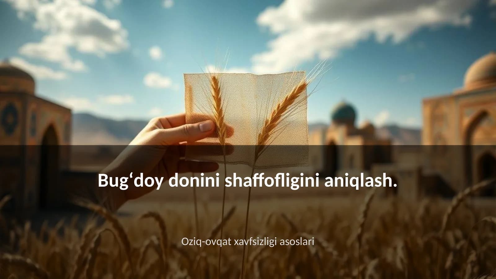 Bugʻdoy donini shaffofligini aniqlash