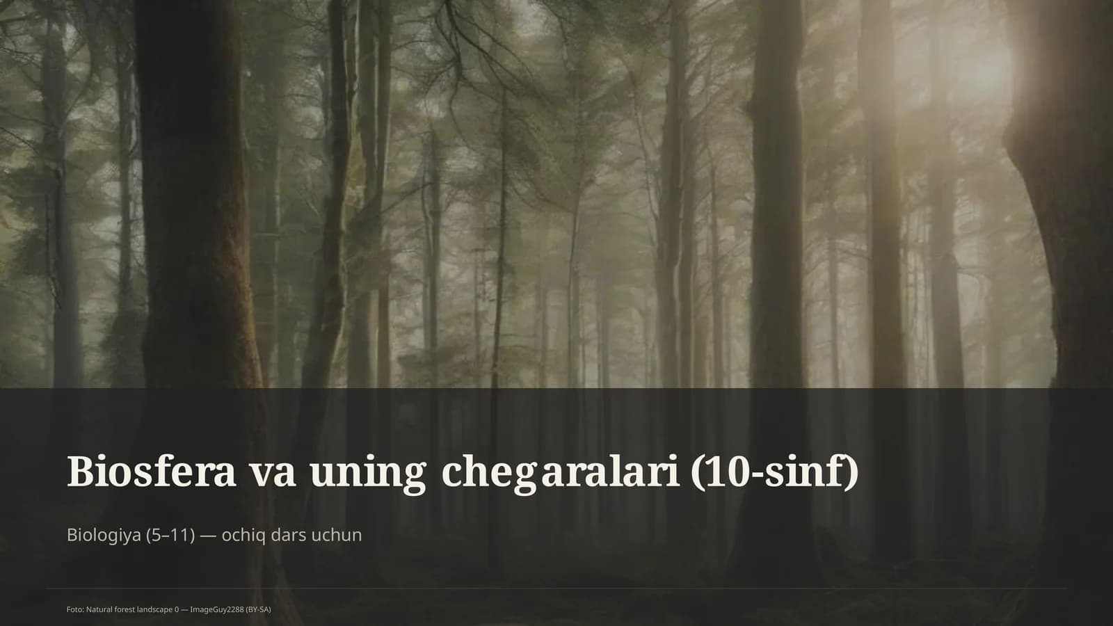 Biosfera va uning chegaralari (10-sinf)