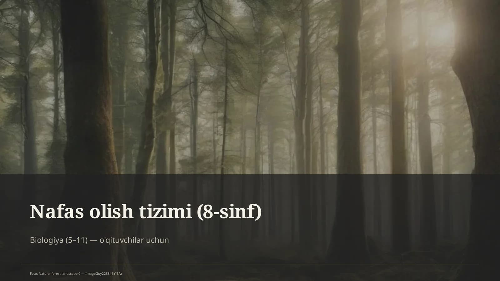 Nafas olish tizimi (8-sinf)