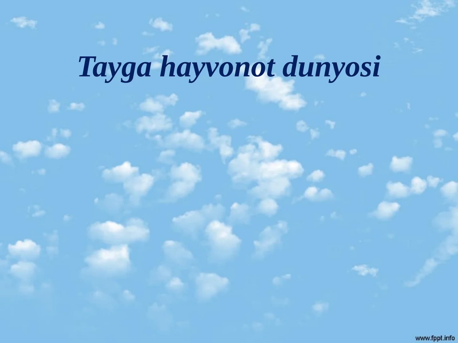 Biologiya - Tayga hayvonot dunyosi