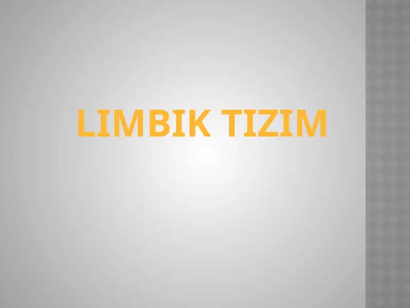 Limbiktizim