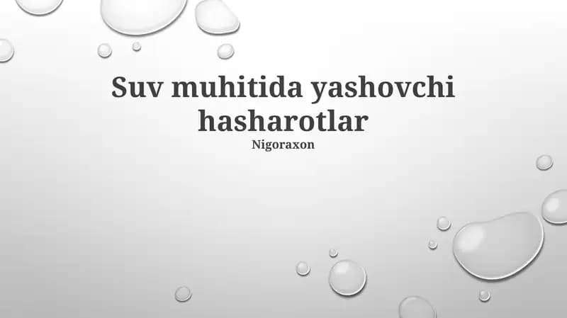 Botqoq Oziq-Ovqat Zanjirlari va Hasharotlarning Roli