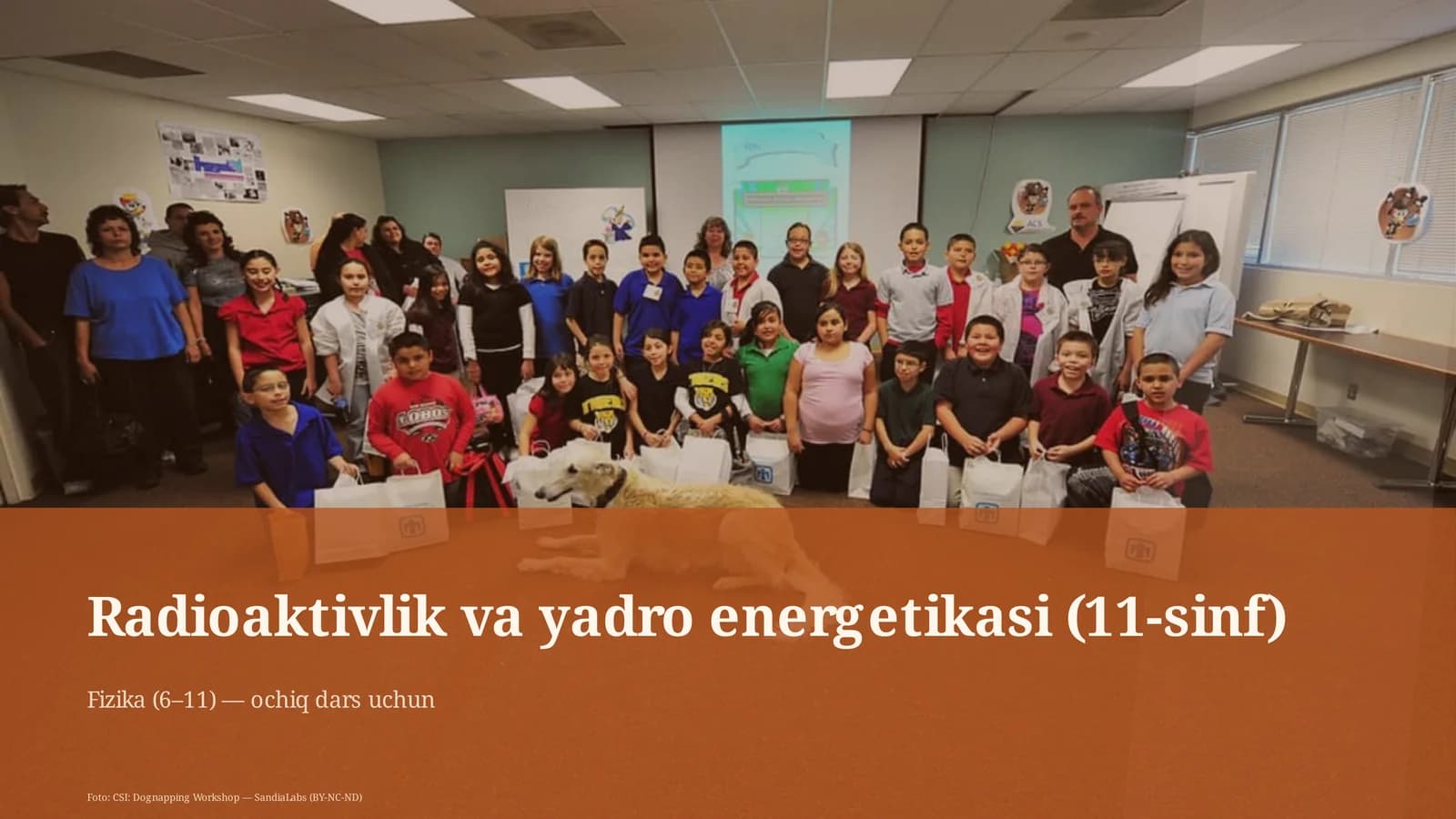 Radioaktivlik va yadro energetikasi (11-sinf)